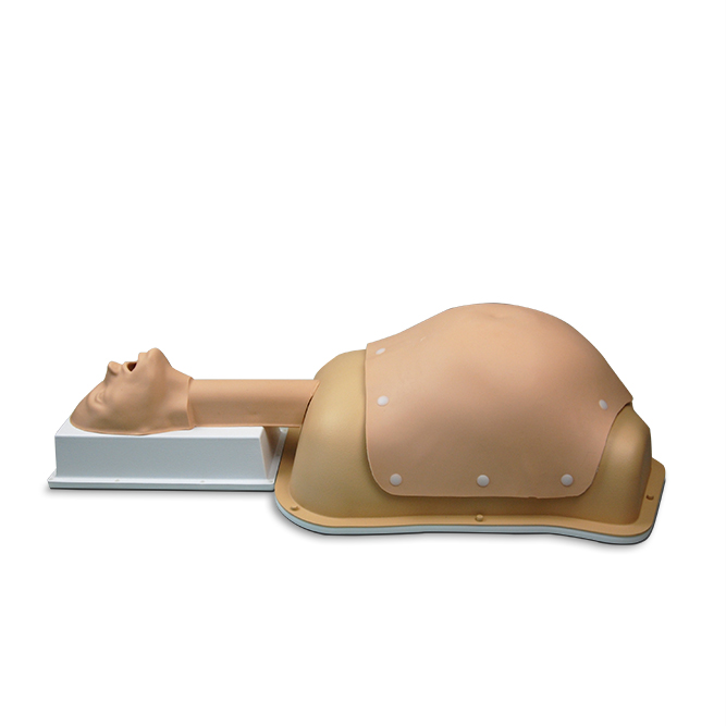 Abdominal Surgery Trainer- AST (#2117)